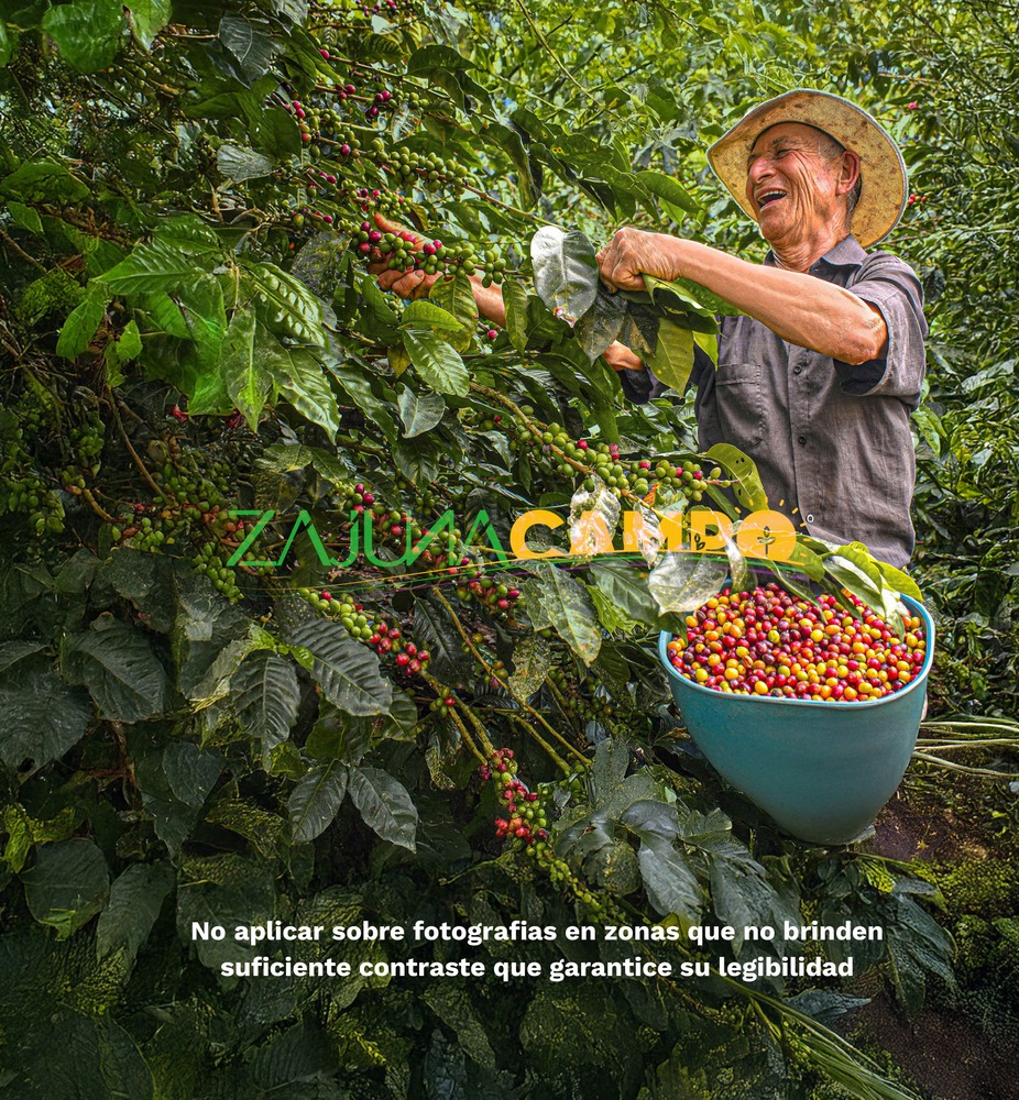 Producción agrícola